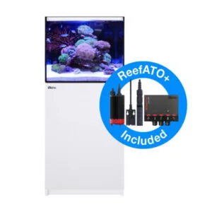 Red Sea Reefer 170 G3 | Premium Rimless Reef-Ready Systems - Image 2