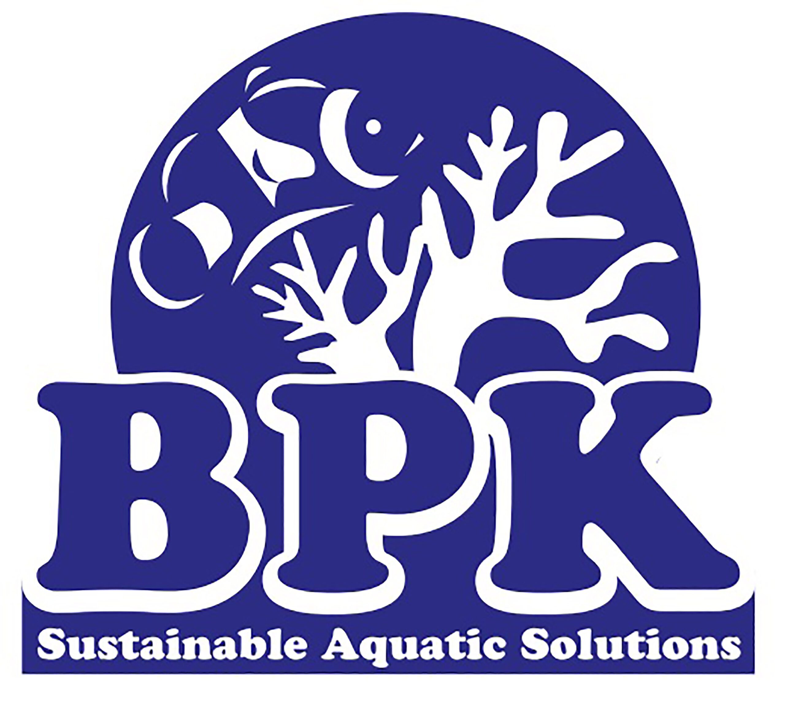 BPK.ae – Your One-Stop Aquatic Solutions Provider