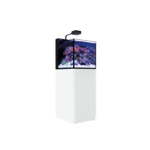 Red Sea MAX NANO G2 Peninsula | 100L All-In-One Room Divider Reef - Image 3
