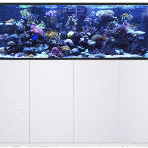 Red Sea Reefer 750 G3 | Flagship 6ft Euro-Braced Reef System (750L) - Image 3