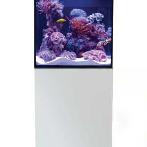 Red Sea MAX NANO G2 Cube | 20 Gallon All-In-One Reef System - Image 5
