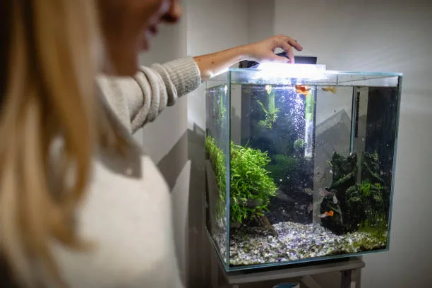 Aquarium Filter UAE