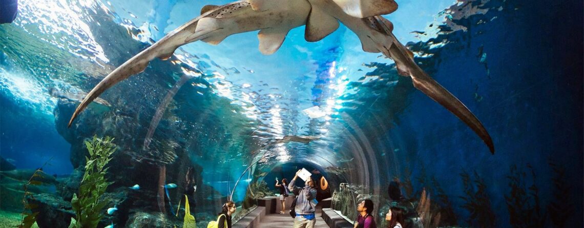 sharjah aquarium