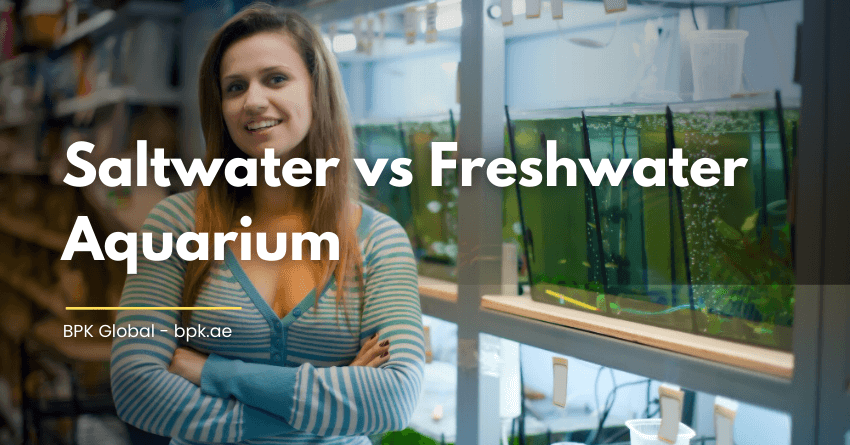 Saltwater vs Freshwater Aquarium