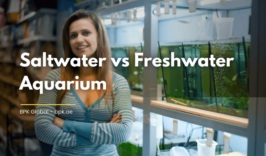Saltwater vs Freshwater Aquarium