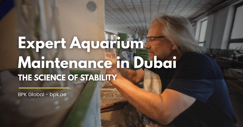 Expert Aquarium Maintenance in Dubai