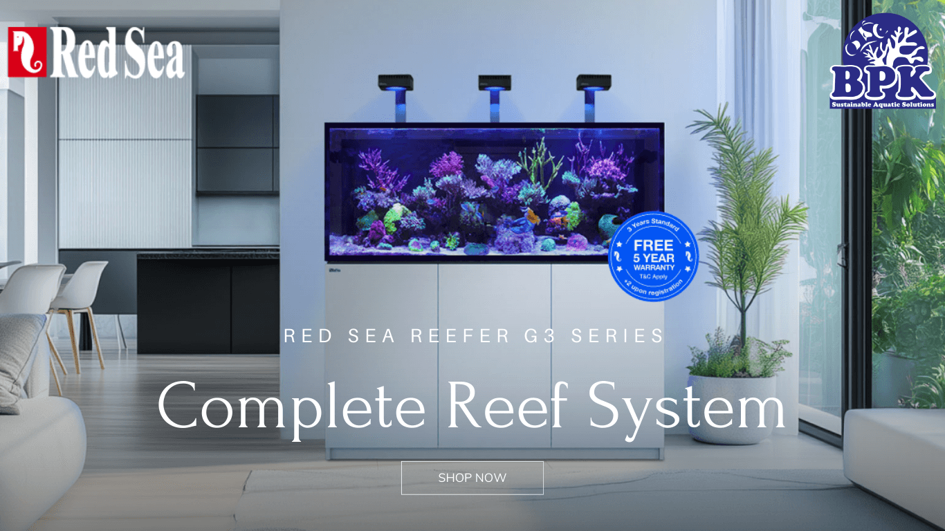 Complete Reef System