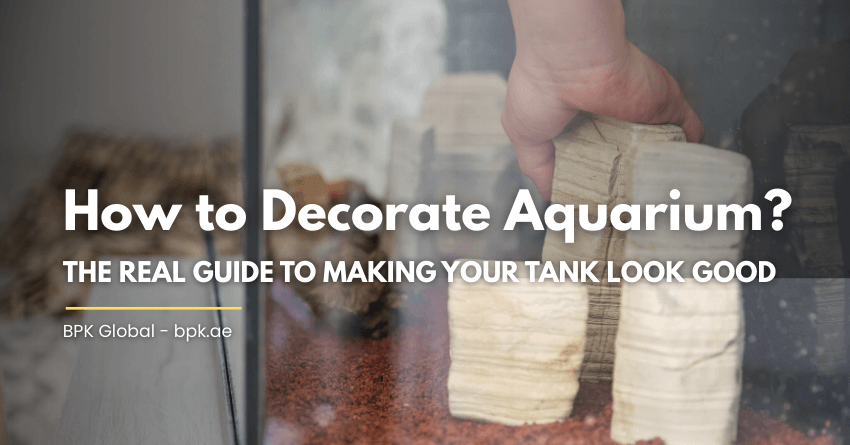 How to Decorate Aquarium