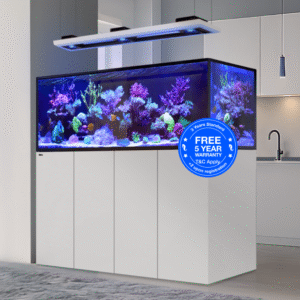 950L Reef Tank Room Divider Dubai