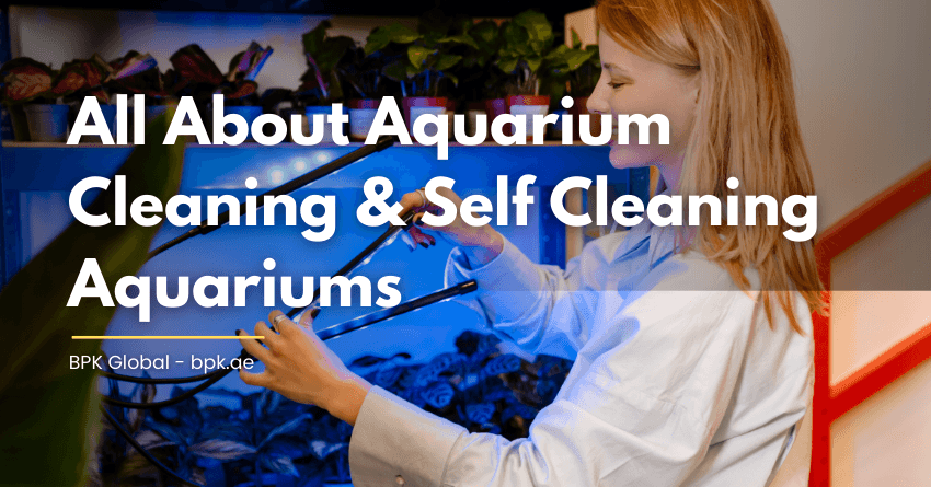 Aquarium Cleaning