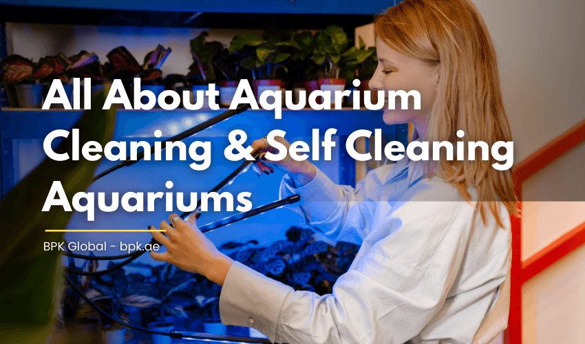 Aquarium Cleaning