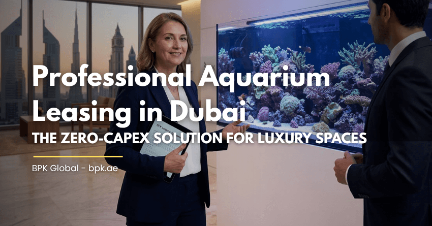 Professional Aquarium Leasing in Dubai
