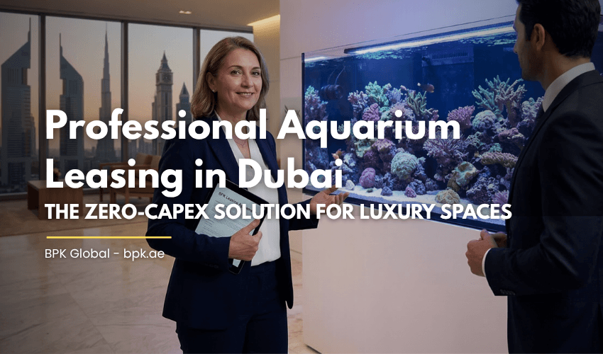 Professional Aquarium Leasing in Dubai