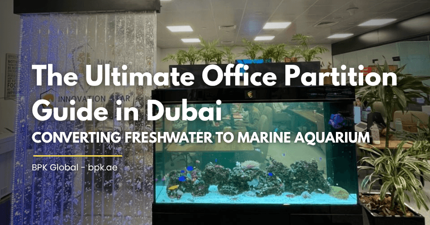 The Ultimate Office Partition Guide in Dubai