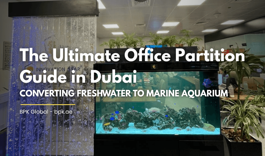 The Ultimate Office Partition Guide in Dubai