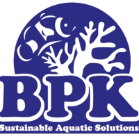 Untitled design (30)