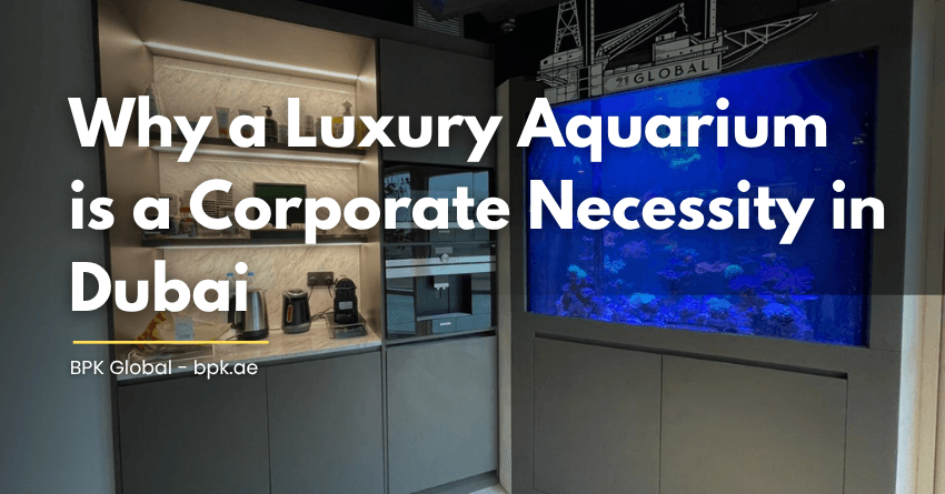 Why a Luxury Aquarium is a Corporate Necessity in Dubai