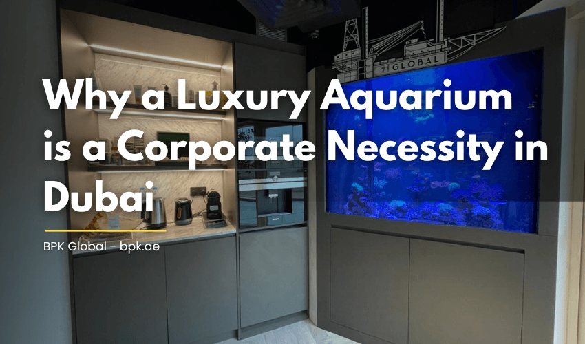 Why a Luxury Aquarium is a Corporate Necessity in Dubai