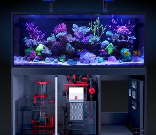 Detailed view of a Life Support System (LSS) upgrade on a standardized reef tank at the BPK Dubai UAE