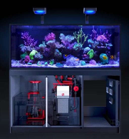 Detailed view of a Life Support System (LSS) upgrade on a standardized reef tank at the BPK Dubai UAE