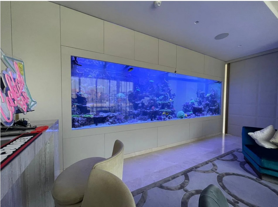 A premium ready-made marine aquarium setup in a Dubai residence, professionally optimized by BPK engineering