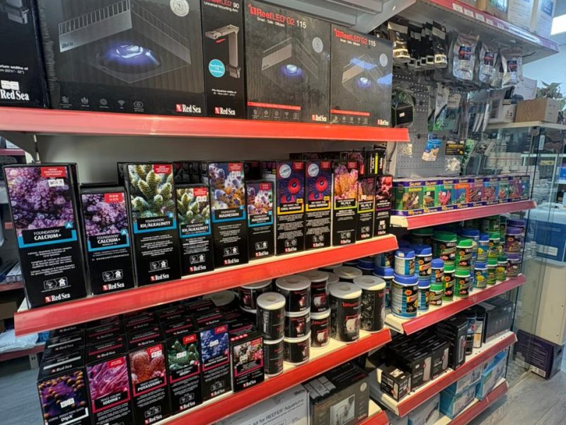 WhatsApp Image 2026-03-13 at 09.04.59